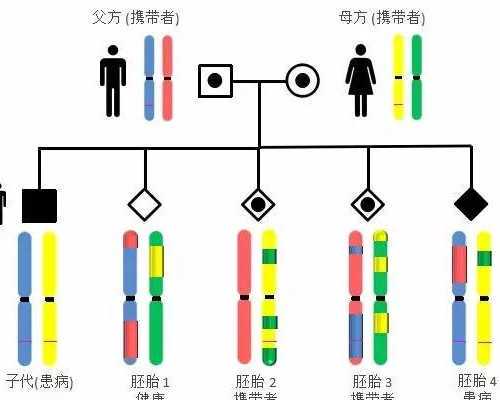 江西南昌供卵试管医院
